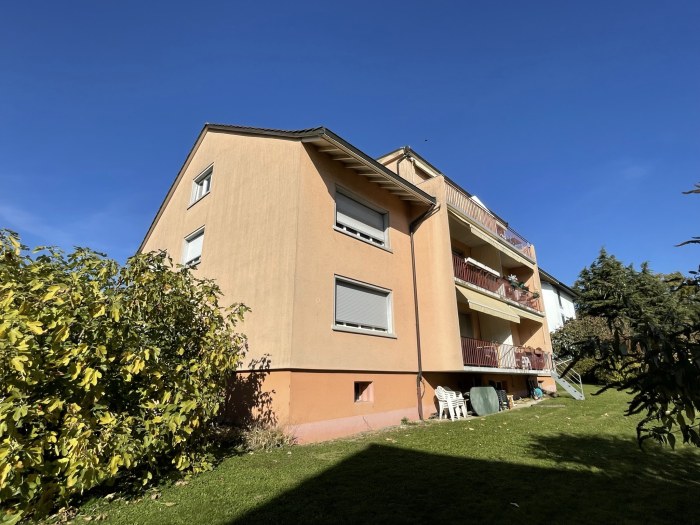 Château 81