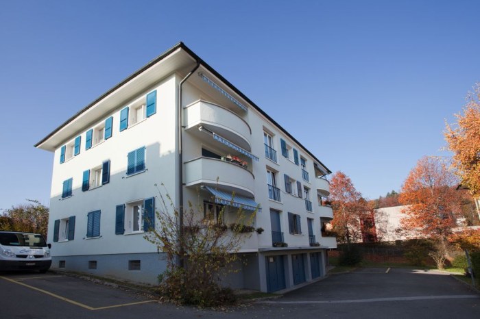 Fontanettaz 18