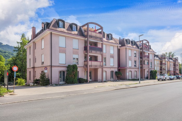 Vevey 105